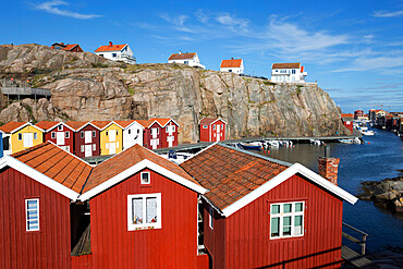 Traditional falu red fishermen's houses in harbour, Smogen, Bohuslan Coast, Southwest Sweden, Sweden, Scandinavia, Europe