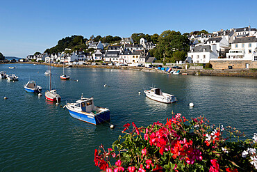 Fishing village beside Riviere de Morlaix, Le Dourduff en Mer, Finistere, Brittany, France, Europe