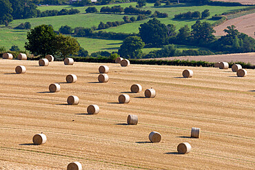 Round hay bales and Cotswold farmland at Wadfield farm, Winchcombe, Cotswolds, Gloucestershire, England, United Kingdom, Europe