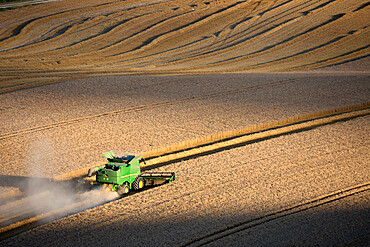 Harvesting wheat with combine harvester, near Winchester, Hampshire, England, United Kingdom, Europe