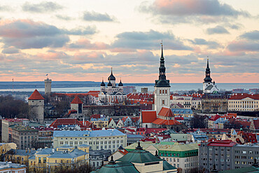 View over Old Town at sunset, UNESCO World Heritage Site, Tallinn, Estonia, Europe