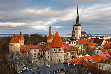 View over the Old Town with the City Walls and Oleviste Church from Patkuli Viewing Platform, Old Town, UNESCO World Heritage Site, Tallinn, Estonia, Europe