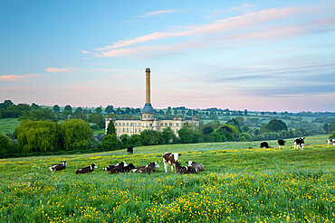 Bliss Mill at dawn with cows in field, Chipping Norton, Cotswolds, Oxfordshire, England, United Kingdom, Europe