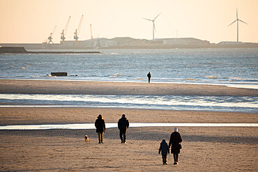 Walkers on the beach at sunset with docks of Boulogne-sur-Mer behind, Wimereux, Pas-de-Calais, Hauts-de-France region, France, Europe