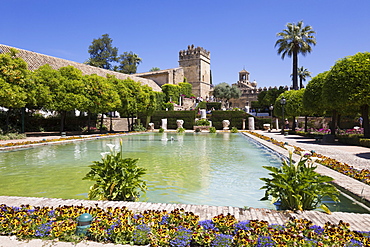 Gardens of the Alcazar de Los Reyes Cristianos, UNESCO World Heritage Site, Cordoba, Andalucia, Spain, Europe