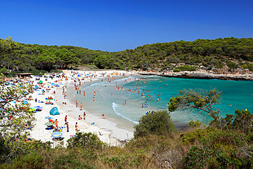 Parc Natural de Mondrago S'Amarador beach, Mallorca (Majorca), Balearic Islands, Spain, Mediterranean, Europe