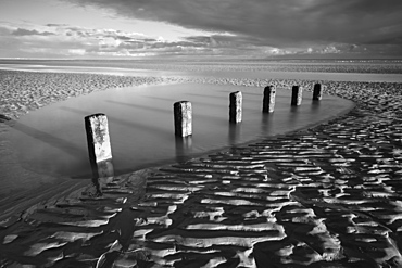 Rotting wooden posts of old sea defences on Winchelsea beach at low tide, Winchelsea, East Sussex, England, United Kingdom, Europe