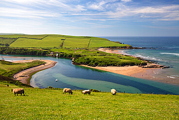 Bantham Sand beach across the River Avon seen from Bigbury-on-Sea, Bantham, South Hams district, Devon, England, United Kingdom, Europe