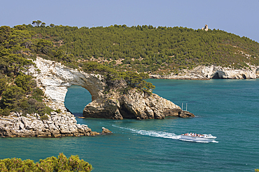 Boat passing under Arco di San Felice arch with Torre Gattarella behind, Vieste, Gargano peninsula, Foggia province, Puglia, Italy, Europe