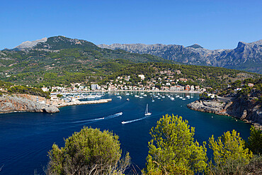 View over bay and harbour, Port de Soller, Mallorca (Majorca), Balearic Islands, Spain, Mediterranean, Europe