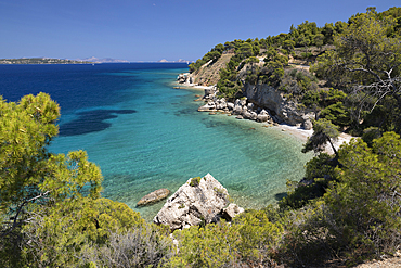 Spetses beach with pine trees and crystal clear blue water, Spetses, Saronic Islands, Greek Islands, Greece, Europe