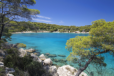 Zogeria beach with crystal clear blue water with pine trees and rocks, Spetses, Saronic Islands, Greek Islands, Greece, Europe