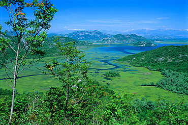 View over lake, Skadar Lake National Park, Haj Nehaj, Montenegro, Europe