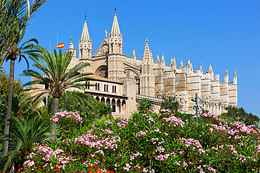 Palma Cathedral (La Seu), Palma de Mallorca, Mallorca (Majorca), Balearic Islands, Spain, Mediterranean, Europe