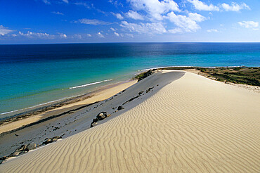 Sand dunes, Playa de Sotavento de Jandia, Fuerteventura, Canary Islands, Spain, Atlantic, Europe