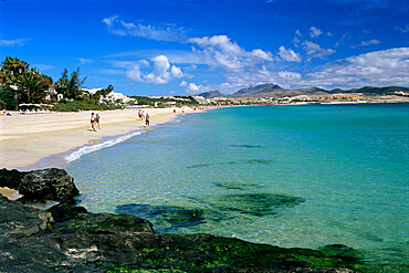 Costa Calma, Fuerteventura, Canary Islands, Spain, Atlantic, Europe