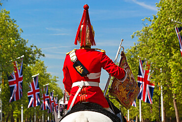 Mounted soldier of the Household Cavalry along The Mall, London, England, United Kingdom, Europe