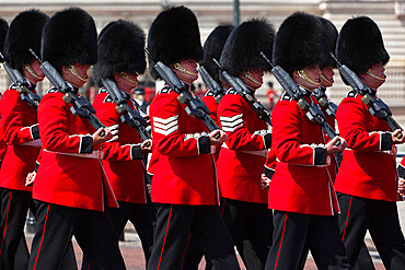 Scots Guards marching past Buckingham Palace, Rehearsal for Trooping the Colour, London, England, United Kingdom, Europe