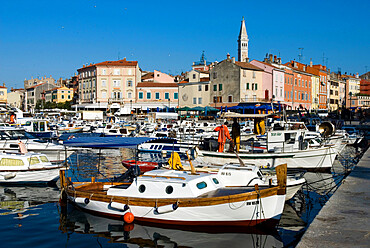 Fishing harbour and St. Euphemia's Church, Rovinj, Istria, Croatia, Adriatic, Europe