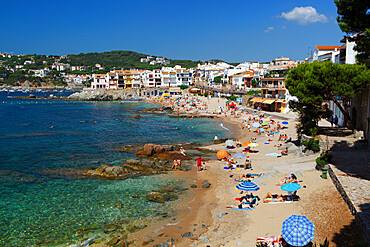 Calella de Palafrugell, Costa Brava, Catalonia, Spain, Mediterranean,  Europe