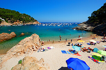 Beach in Summer, Tamariu, near Begur, Costa Brava, Catalonia, Spain, Mediterranean, Europe