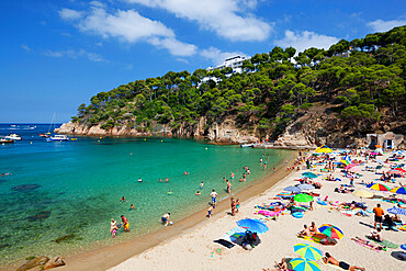 Platja d'Aiguablava, Aiguablava, near Begur, Costa Brava, Catalonia, Spain, Mediterranean, Europe