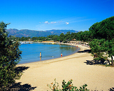 Beach view, Cala Rossa, South East Corsica, Corsica, France, Mediterranean, Europe