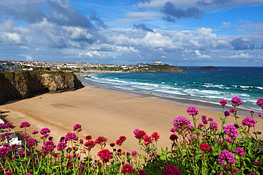 Great Western beach,  Newquay, Cornwall, England