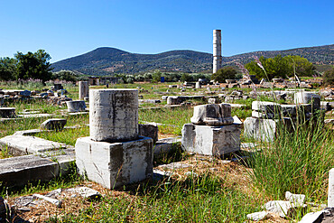 Ireon archaeological site with columns of the Temple of Hera, Ireon, Samos, Aegean Islands, Greece