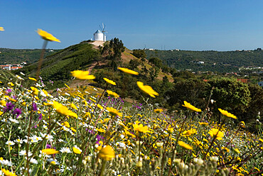 Windmill in spring, Silves, Algarve, Portugal, Europe
