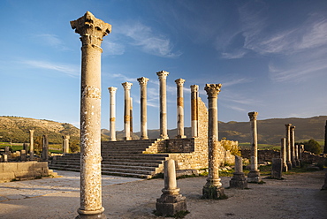 Roman ruins of Volubilis, UNESCO World Heritage Site, Morocco, North Africa, Africa