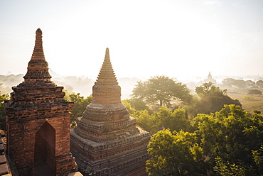 View of Temples at dawn, Bagan (Pagan), Mandalay Region, Myanmar (Burma), Asia