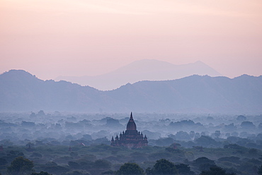 View of Temples at dawn, Bagan (Pagan), Mandalay Region, Myanmar (Burma), Asia