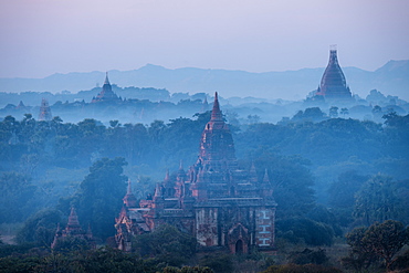 View of Temples at dawn, Bagan (Pagan), Mandalay Region, Myanmar (Burma), Asia