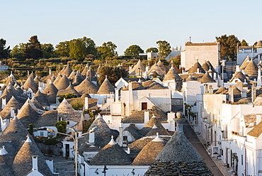 Traditional Trulli style houses in Alberobello, UNESCO World Heritage Site, Puglia, Italy, Europe