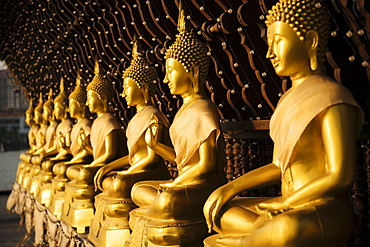 Buddha statues, Seema Malakaya Temple, Colombo, Western Province, Sri Lanka, Asia