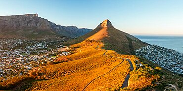 Aerial view from Signal Hill at dawn, Cape Town, Western Cape, South Africa