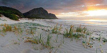 Betty's Bay Beach, Western Cape, South Africa