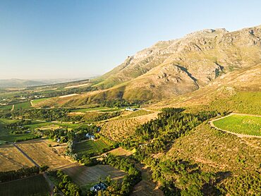 Aerial view of wine vineyards near Stellenbosch, Western Cape, South Africa