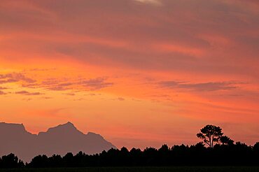 Sunset over Table Mountain, Stellenbosch, Western Cape, South Africa