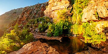 Cederberg Mountains, Western Cape, South Africa