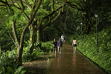 Fort Canning Park, Singapore, Southeast Asia, Asia