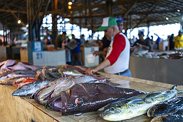 Fishmarket, Manta, Manabi, Ecuador, South America