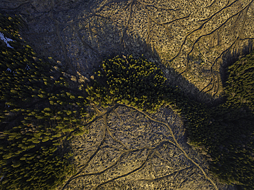 Aerial of forest landscape near Nucsoara, Arges County, Muntenia, Romania, Europe