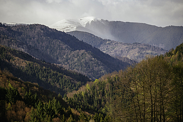 Landscape near Nucsoara, Arges County, Muntenia, Romania, Europe