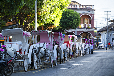 Horse drawn carriages on street, Granada, Nicaragua, Central America