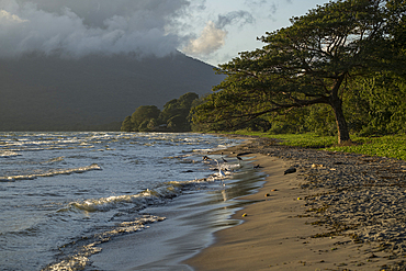 San Fernando Beach, Ometepe Island, Rivas State, Nicaragua, Central America