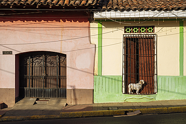 Street scene, Leon, Leon Department, Nicaragua, Central America