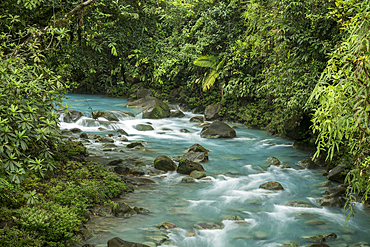 Río Celeste, Parque Nacional Volcan Tenorio, Alajuela Province, Costa Rica, Central America