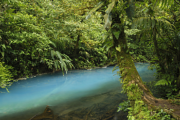 Río Celeste, Parque Nacional Volcan Tenorio, Alajuela Province, Costa Rica, Central America